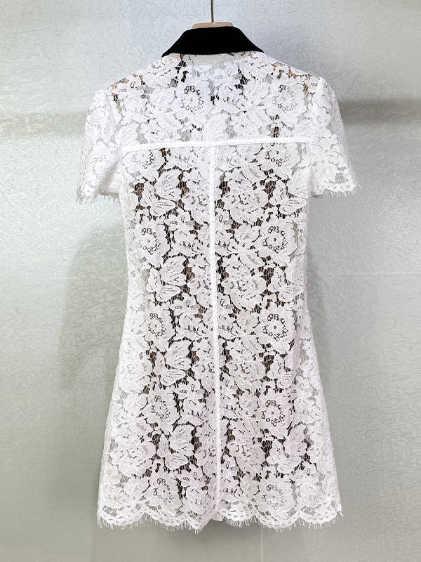 Hit Color Lace Short Dress