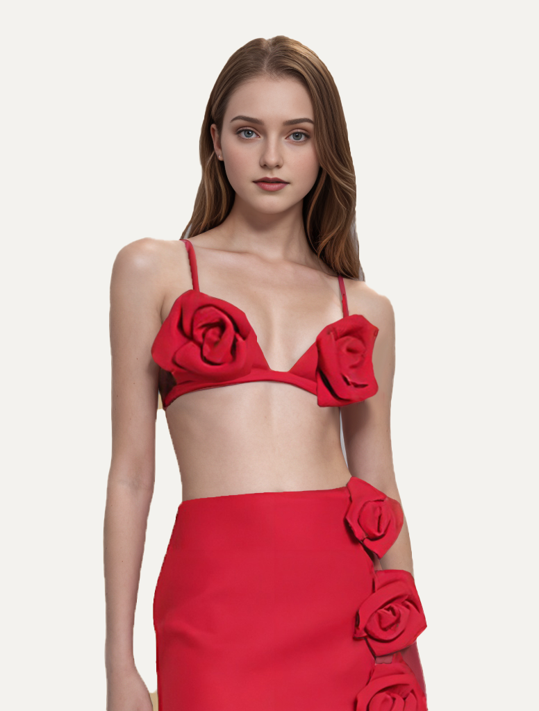 Appliques Triangle Red Bra Top