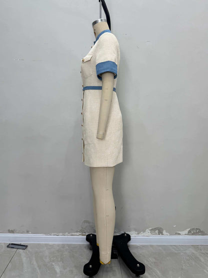 Elegant Hit Color Short Dress