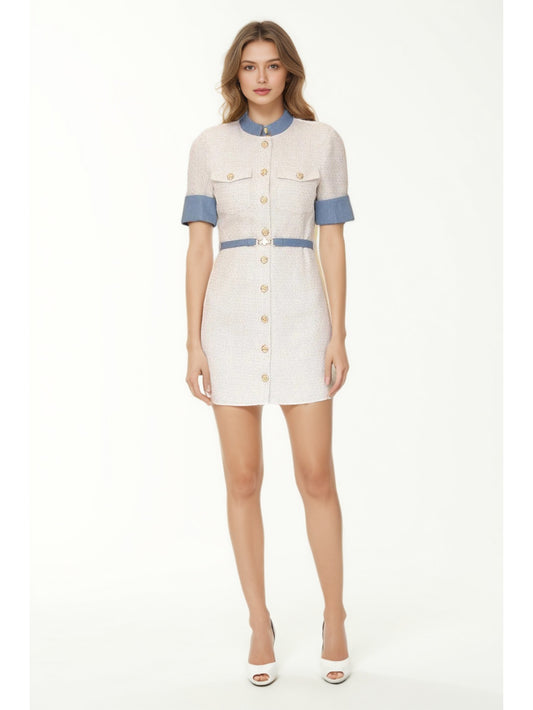 Elegant Hit Color Short Dress