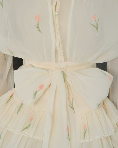 Apricot Embroidery Chiffon Ruffle Hem Mini Dress