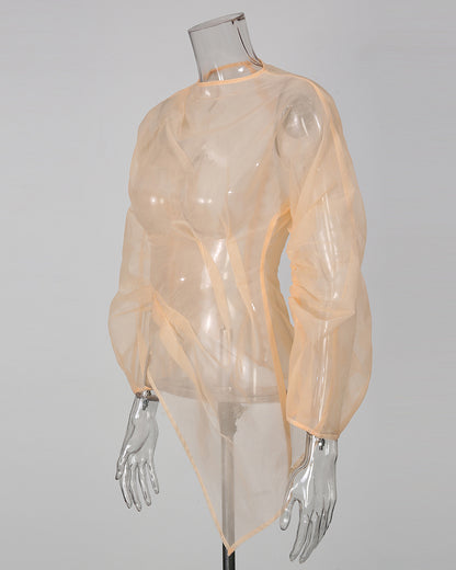 Apricot Sheer Mesh Long Sleeve Asymmetrical Blouse