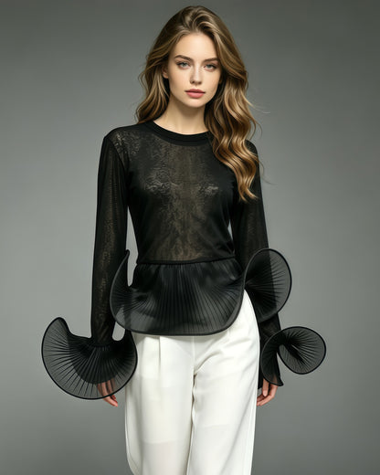 Black Sheer Mesh Long Sleeve Top