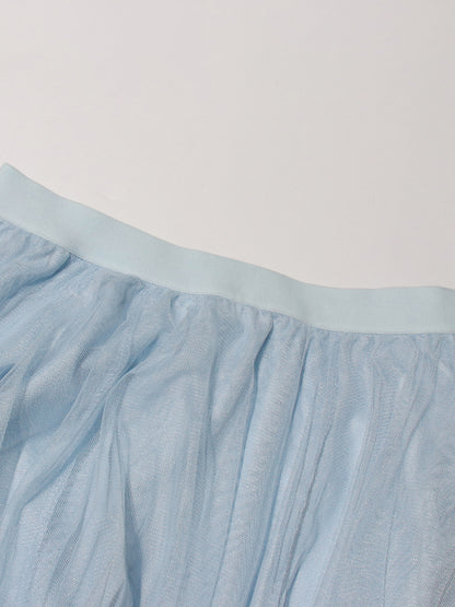 Blue Lace Top & Tulle Skirt Two-Piece Set
