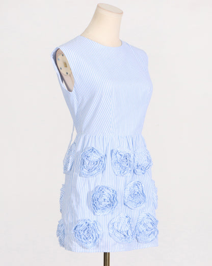 Blue Stripe 3D Floral Mini Dress