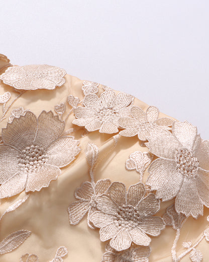 Champagne Lace Bodice & Pleated Skirt Set