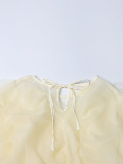 Dreamy Apricot Ruffled Organza Crop Top