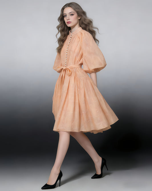 Orange Bowknot Puff Sleeve Mini Dress