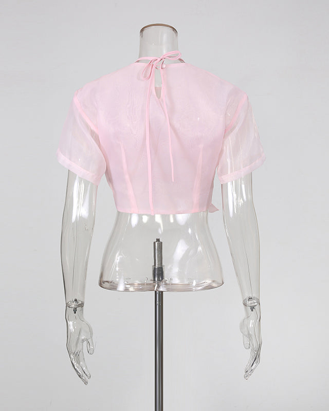 Pink Mesh Floral Embroidery Bow Tie Top