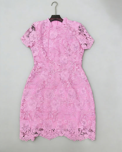 Pink Stand Collar Short Sleeve Lace Mini Dress