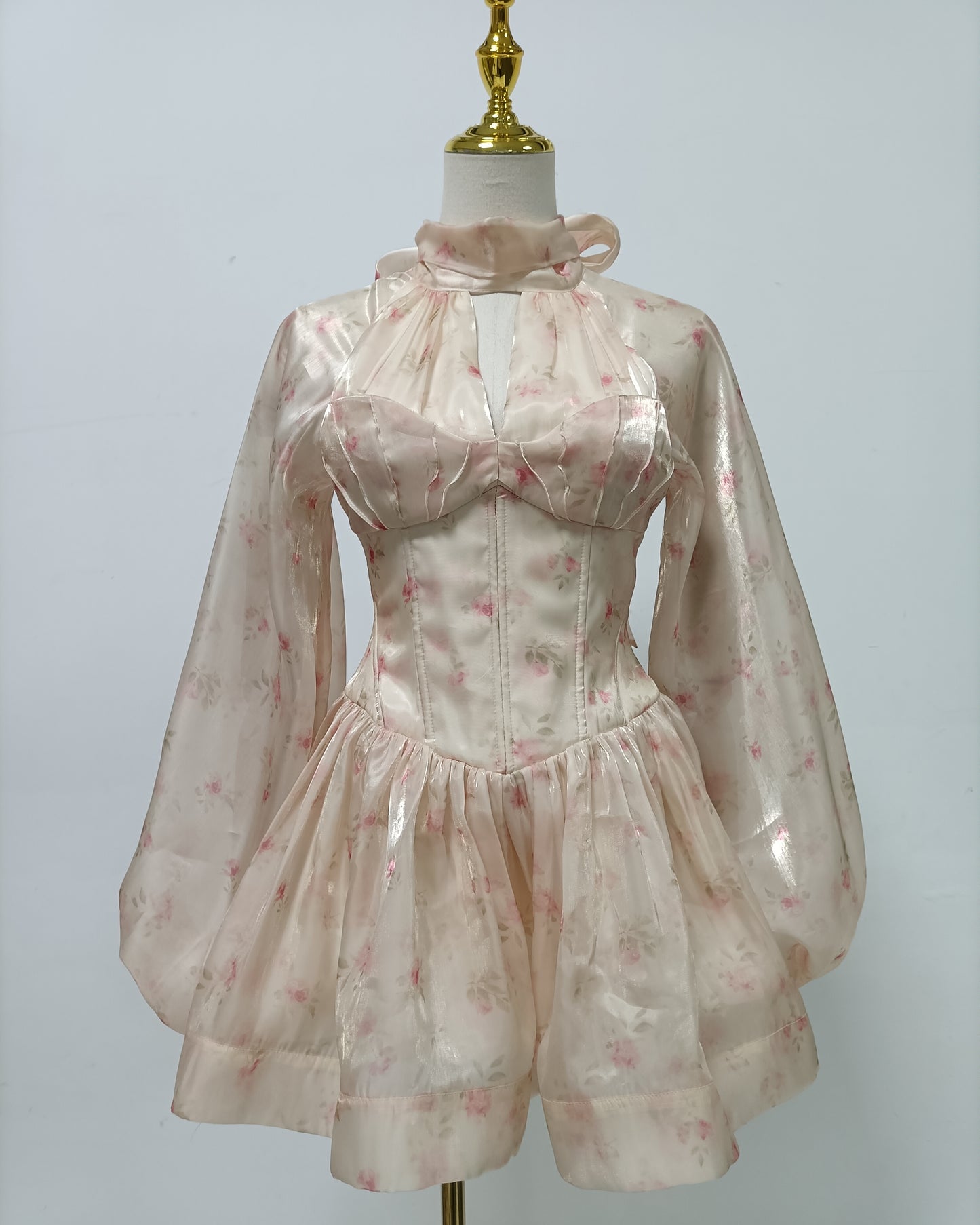 Print Corset Bodice Puff Sleeve Mini Dress