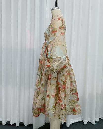 Vintage Print Lantern Long Sleeve Panel Midi Dress