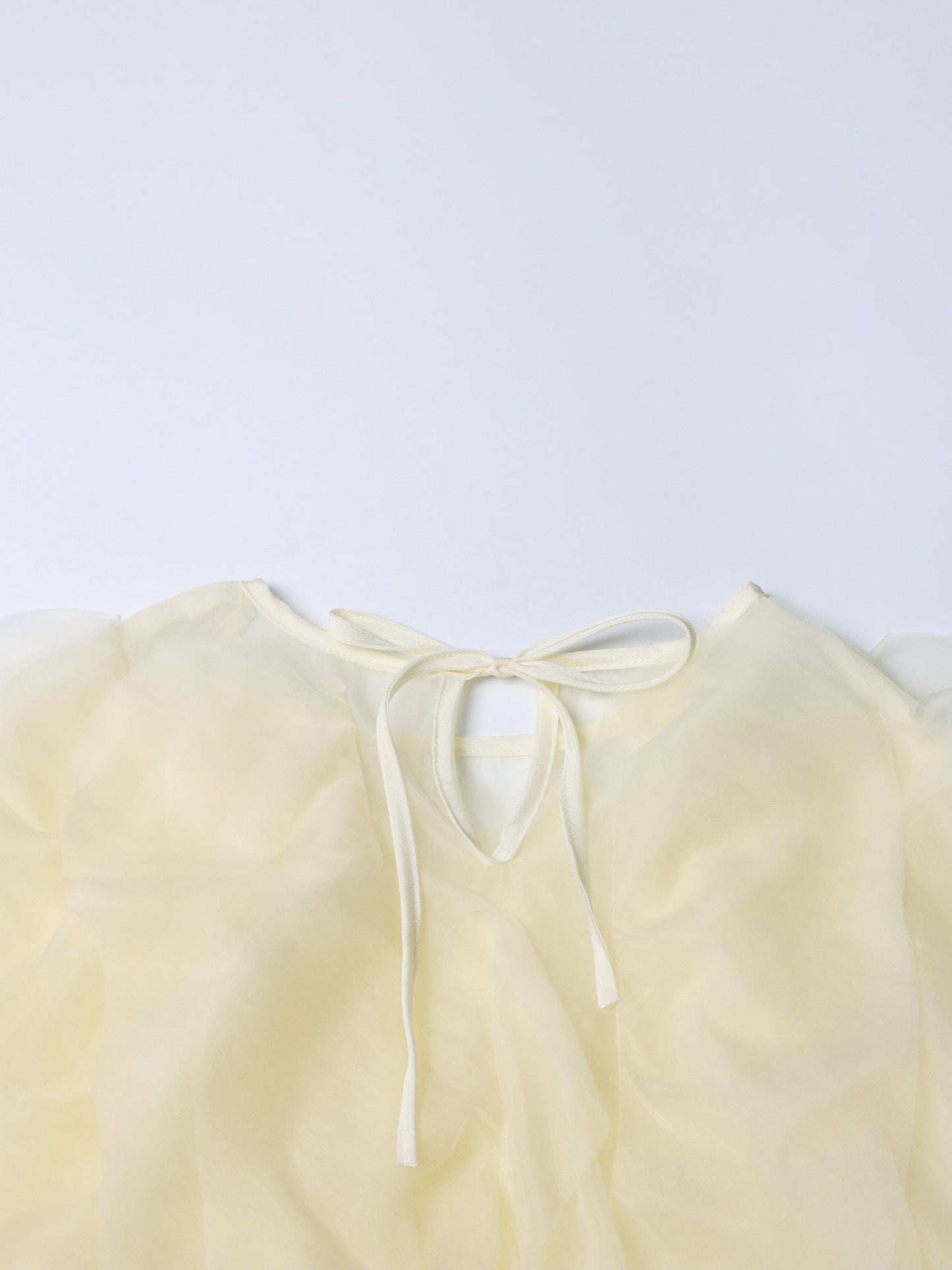Dreamy Apricot Ruffled Organza Crop Top - SISPELL
