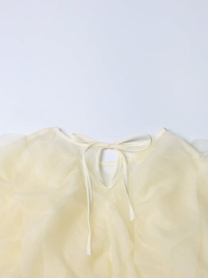 Dreamy Apricot Ruffled Organza Crop Top - SISPELL